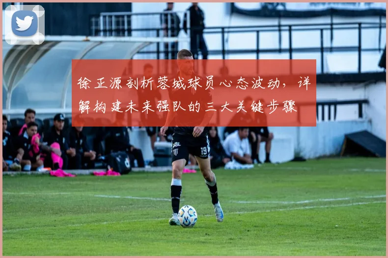 徐正源剖析蓉城球员心态波动,详解构建未来强队的三大关键步骤